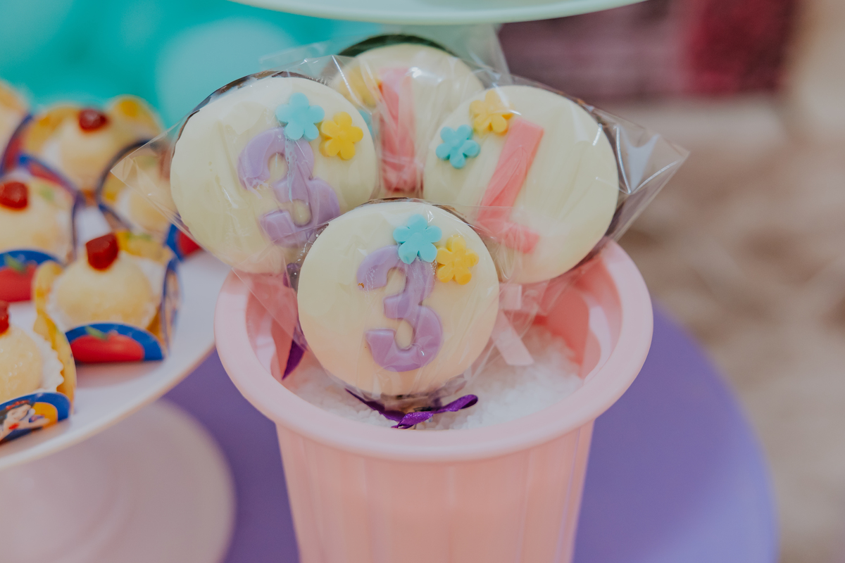 fotografia rio de janeiro festa infantil evento rj 3 anos Livia laranjeiras fotografa família bruna Guerson 