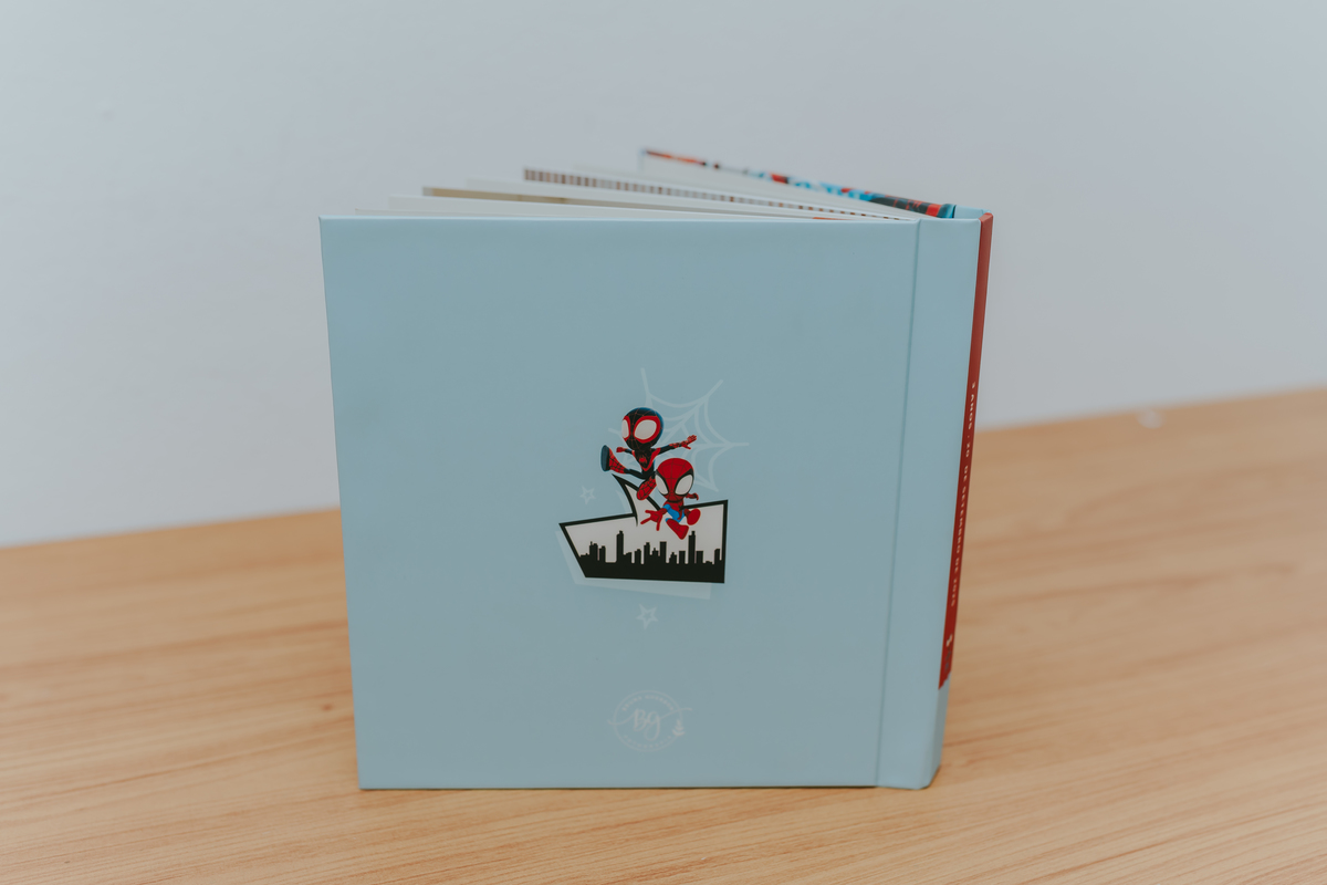 fotografia fotográfa festa infantil casa de festas 3 ano tema homem aranha rio de Janeiro rj evento barra da Tijuca família 