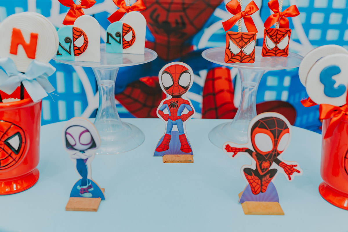 fotografia fotográfa festa infantil casa de festas 3 ano tema homem aranha rio de Janeiro rj evento barra da Tijuca família 