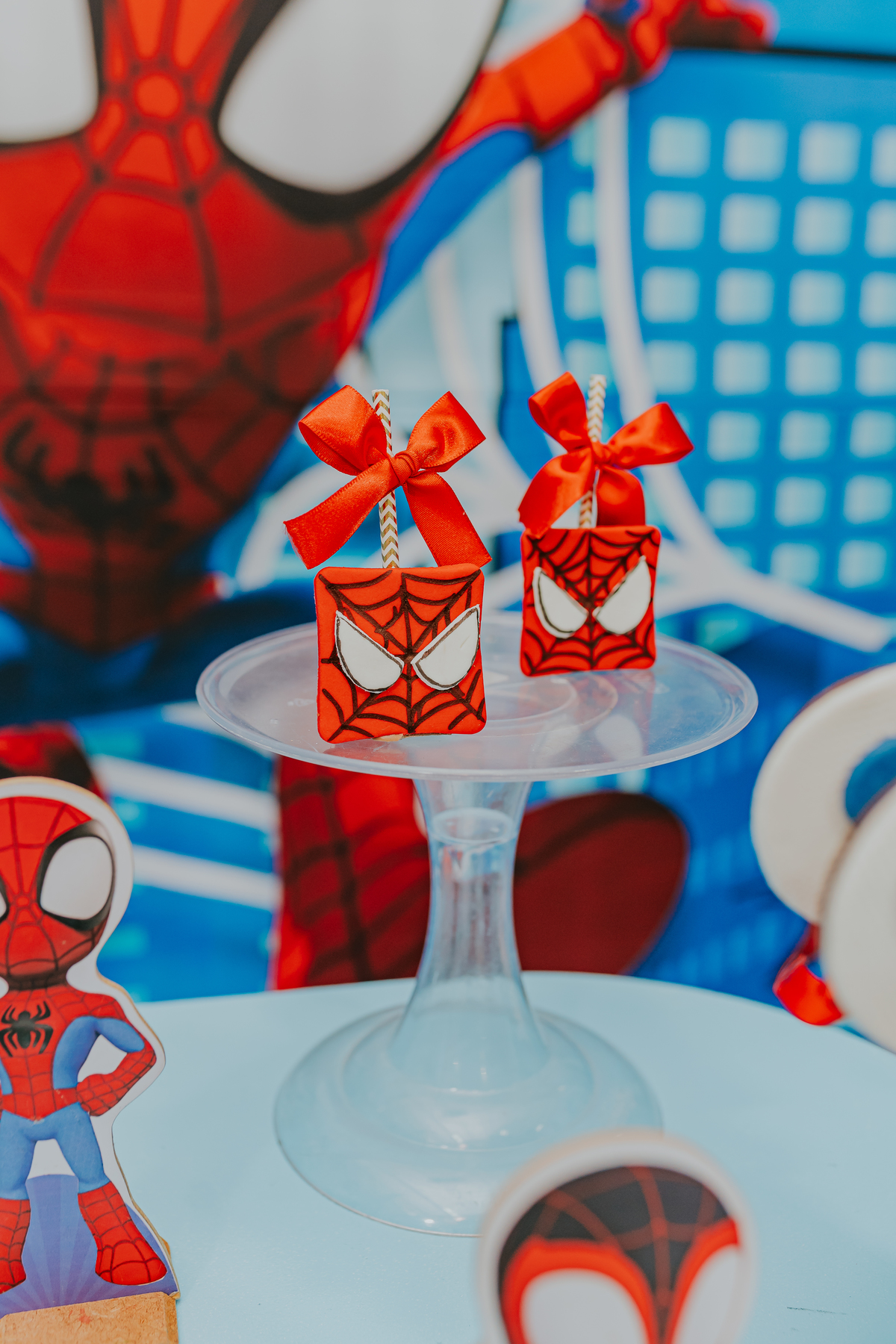 fotografia fotográfa festa infantil casa de festas 3 ano tema homem aranha rio de Janeiro rj evento barra da Tijuca família 