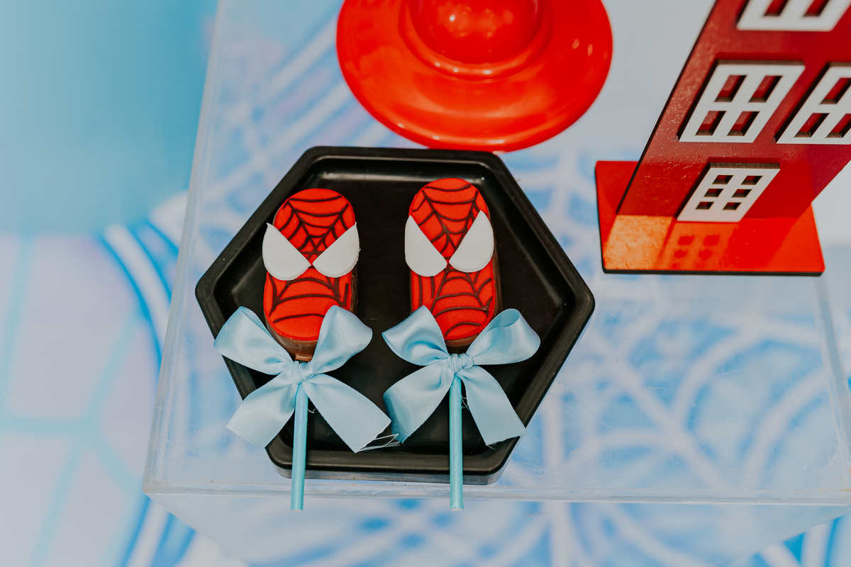 fotografia fotográfa festa infantil casa de festas 3 ano tema homem aranha rio de Janeiro rj evento barra da Tijuca família 