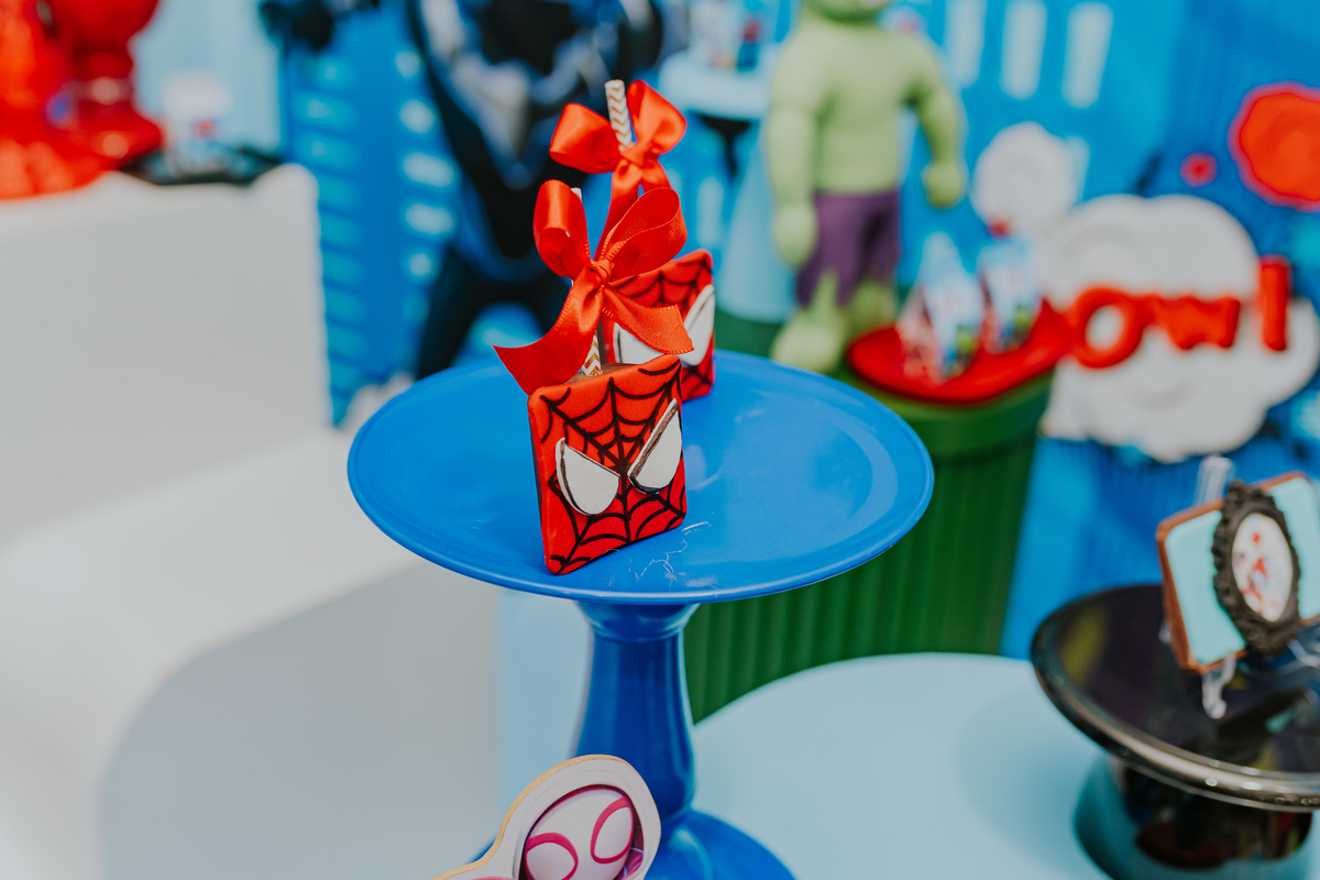 fotografia fotográfa festa infantil casa de festas 3 ano tema homem aranha rio de Janeiro rj evento barra da Tijuca família 