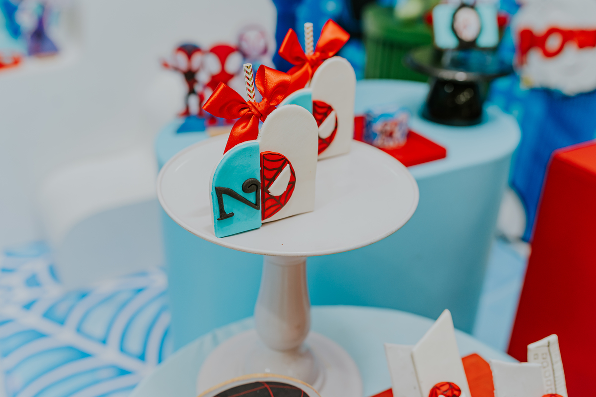 fotografia fotográfa festa infantil casa de festas 3 ano tema homem aranha rio de Janeiro rj evento barra da Tijuca família 