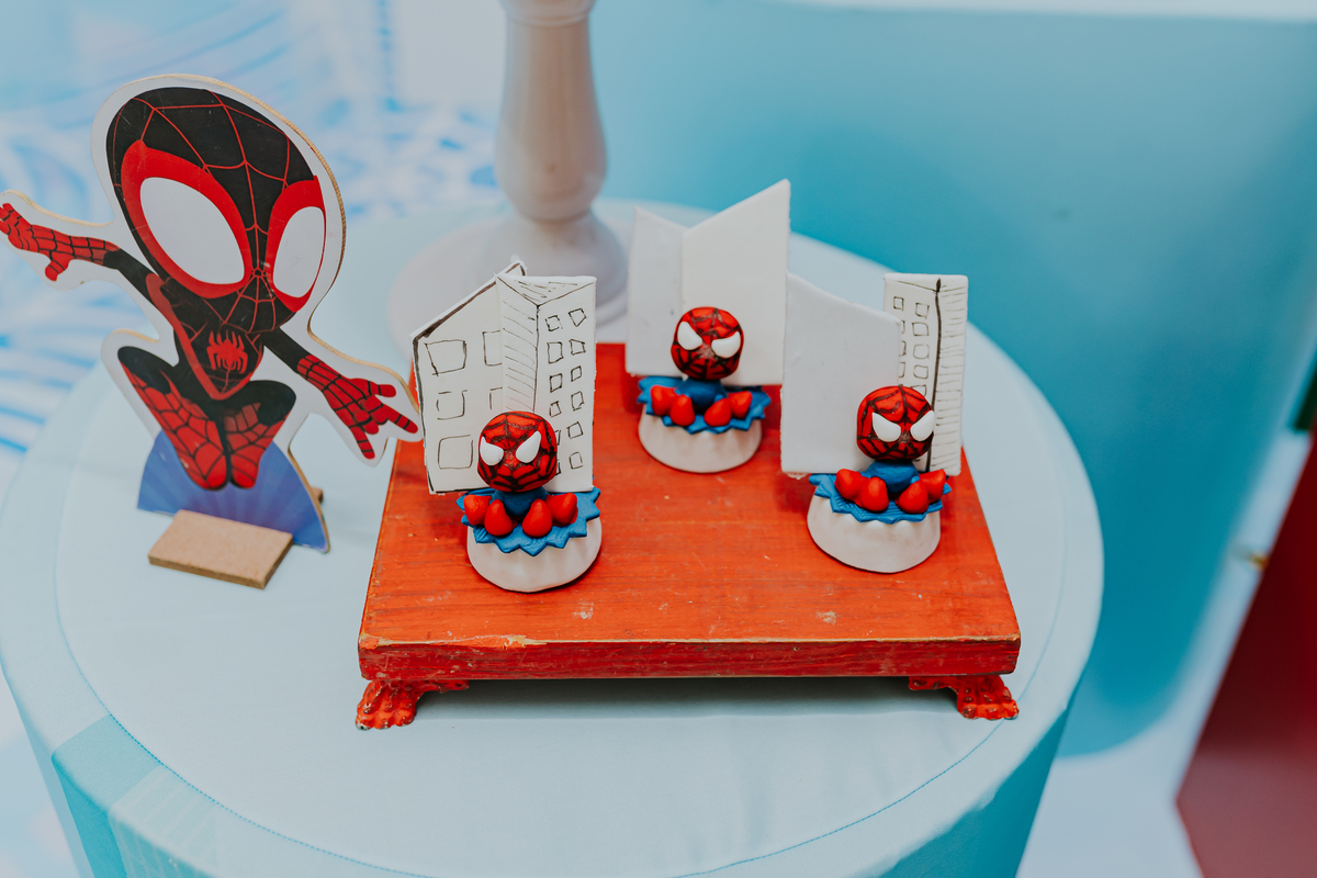 fotografia fotográfa festa infantil casa de festas 3 ano tema homem aranha rio de Janeiro rj evento barra da Tijuca família 