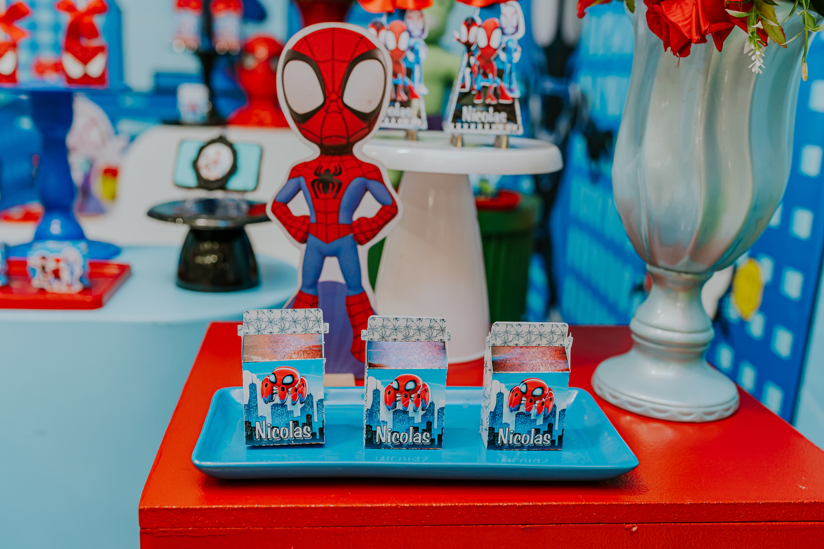 fotografia fotográfa festa infantil casa de festas 3 ano tema homem aranha rio de Janeiro rj evento barra da Tijuca família 