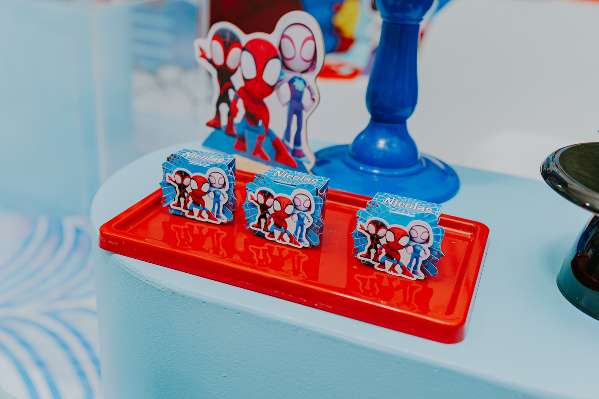 fotografia fotográfa festa infantil casa de festas 3 ano tema homem aranha rio de Janeiro rj evento barra da Tijuca família 