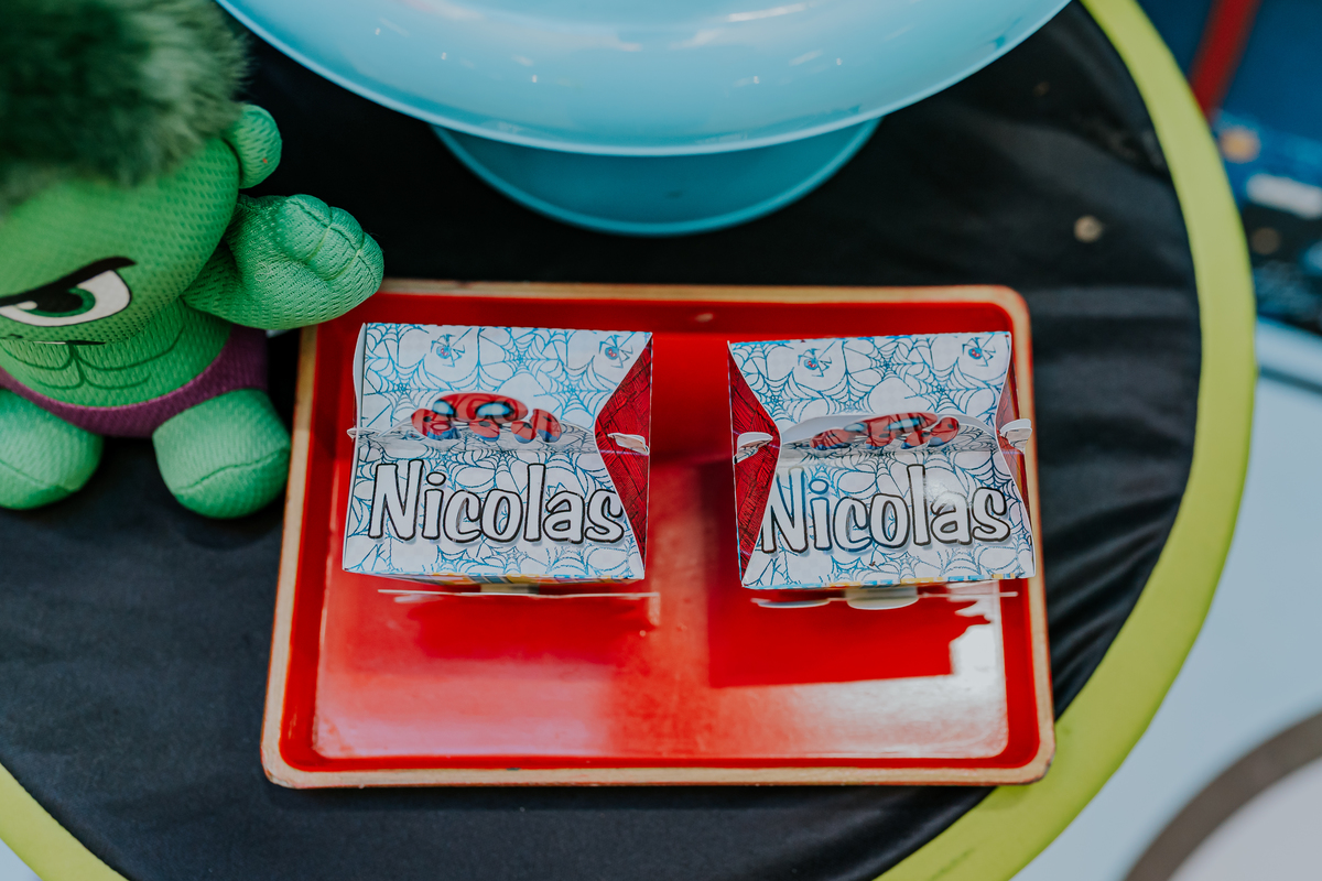 fotografia fotográfa festa infantil casa de festas 3 ano tema homem aranha rio de Janeiro rj evento barra da Tijuca família 