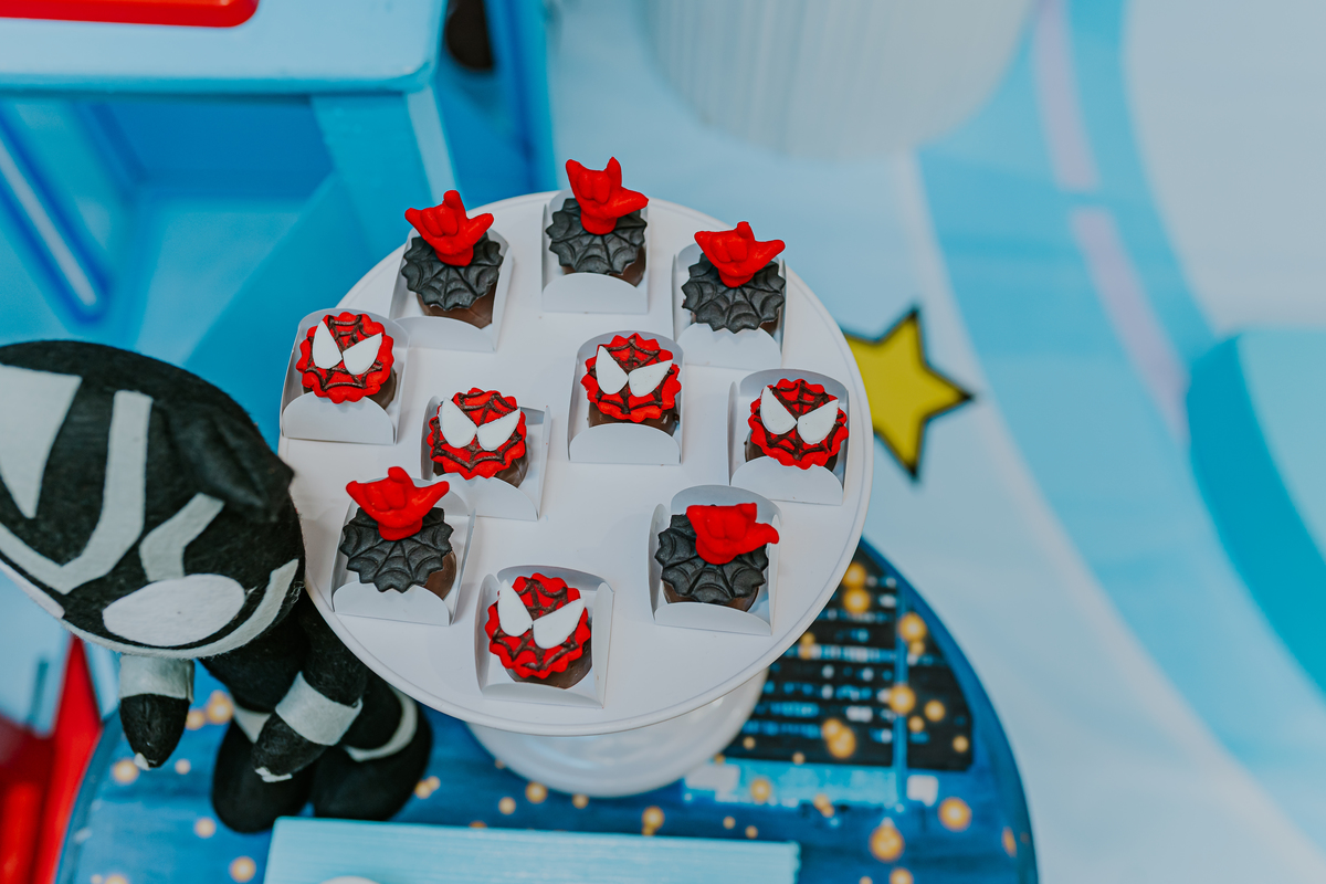 fotografia fotográfa festa infantil casa de festas 3 ano tema homem aranha rio de Janeiro rj evento barra da Tijuca família 