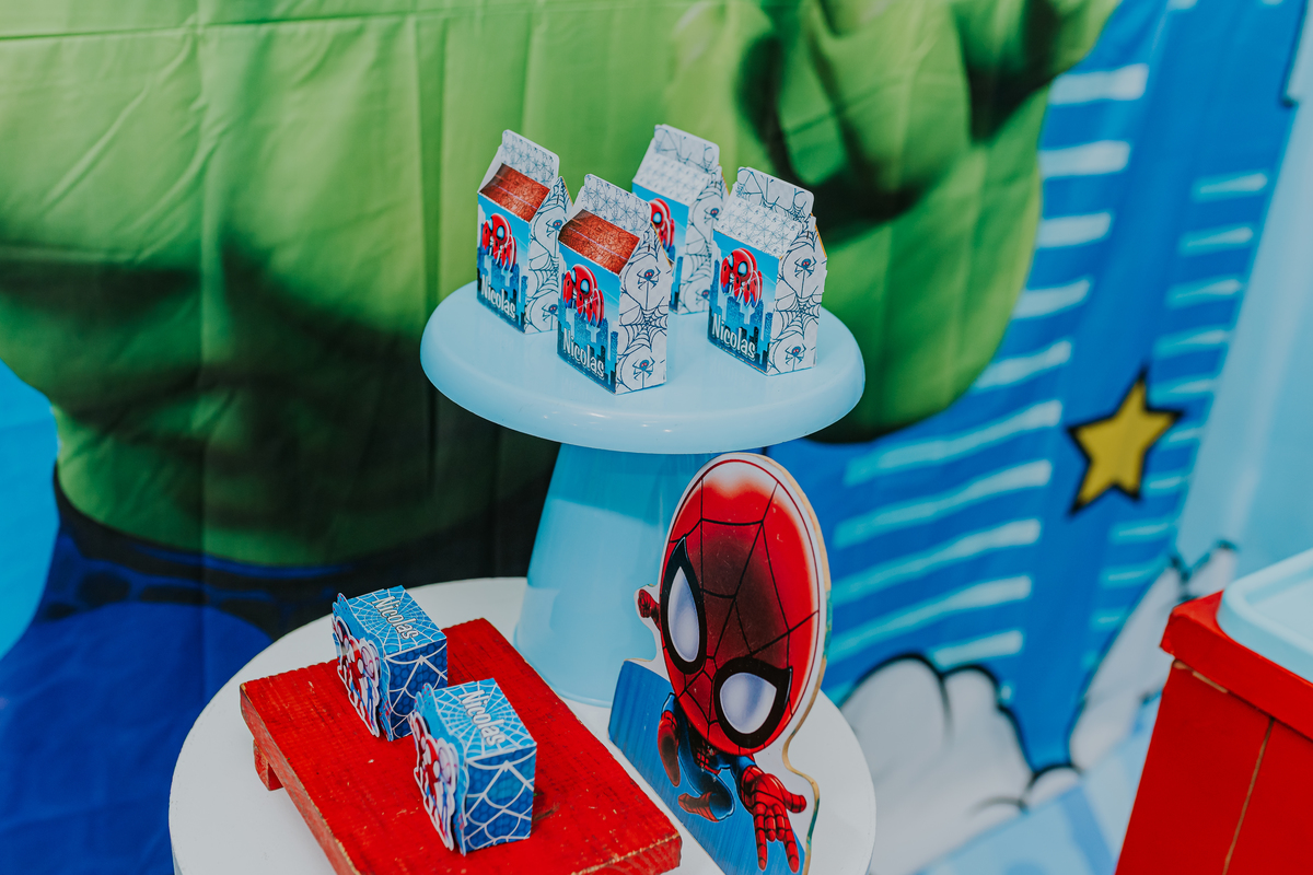 fotografia fotográfa festa infantil casa de festas 3 ano tema homem aranha rio de Janeiro rj evento barra da Tijuca família 