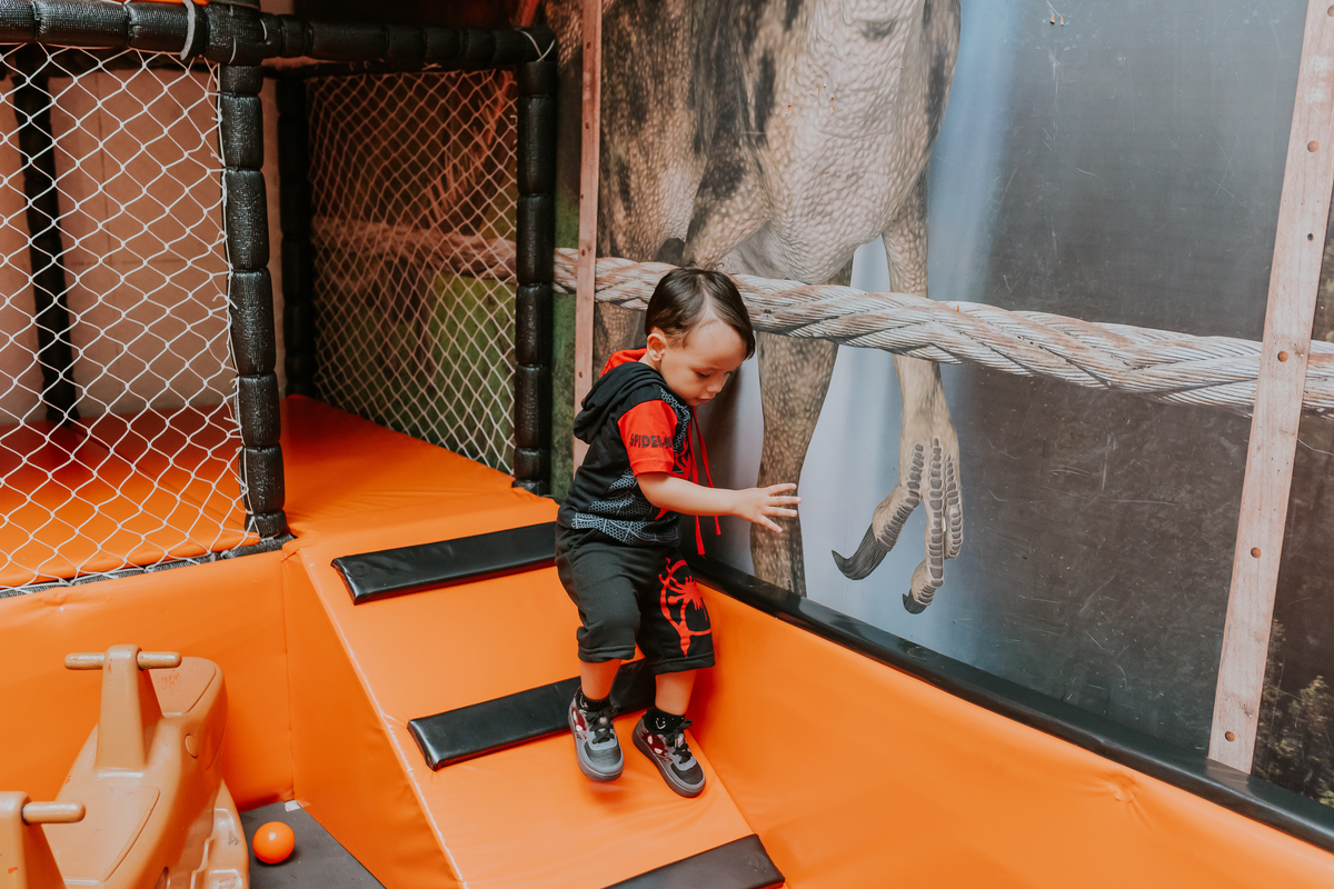 fotografia fotográfa festa infantil casa de festas 3 ano tema homem aranha rio de Janeiro rj evento barra da Tijuca família 