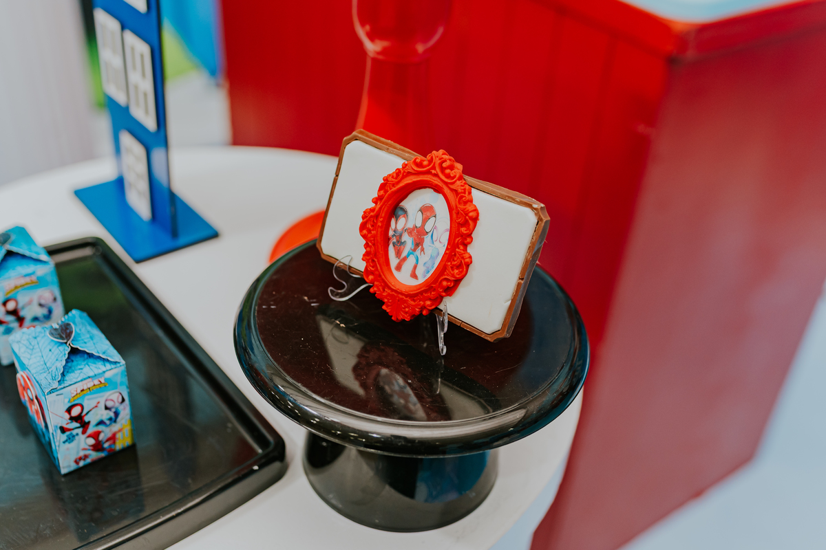 fotografia fotográfa festa infantil casa de festas 3 ano tema homem aranha rio de Janeiro rj evento barra da Tijuca família 