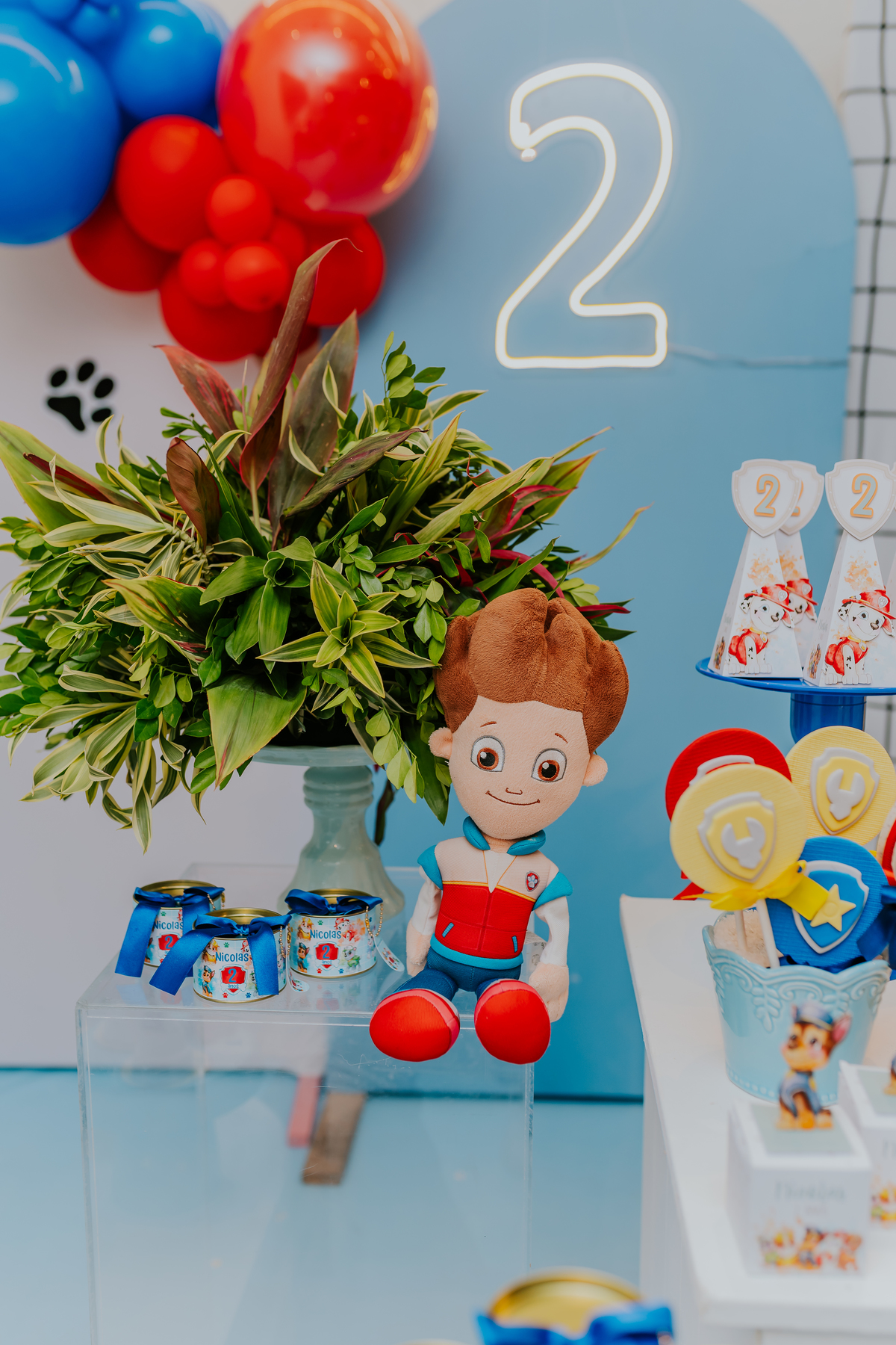 festa infantil rio de janeiro 2 anos Nicolas fotografa fotografia rj casa de festa quintal Araguaia Jacarepagua familia 