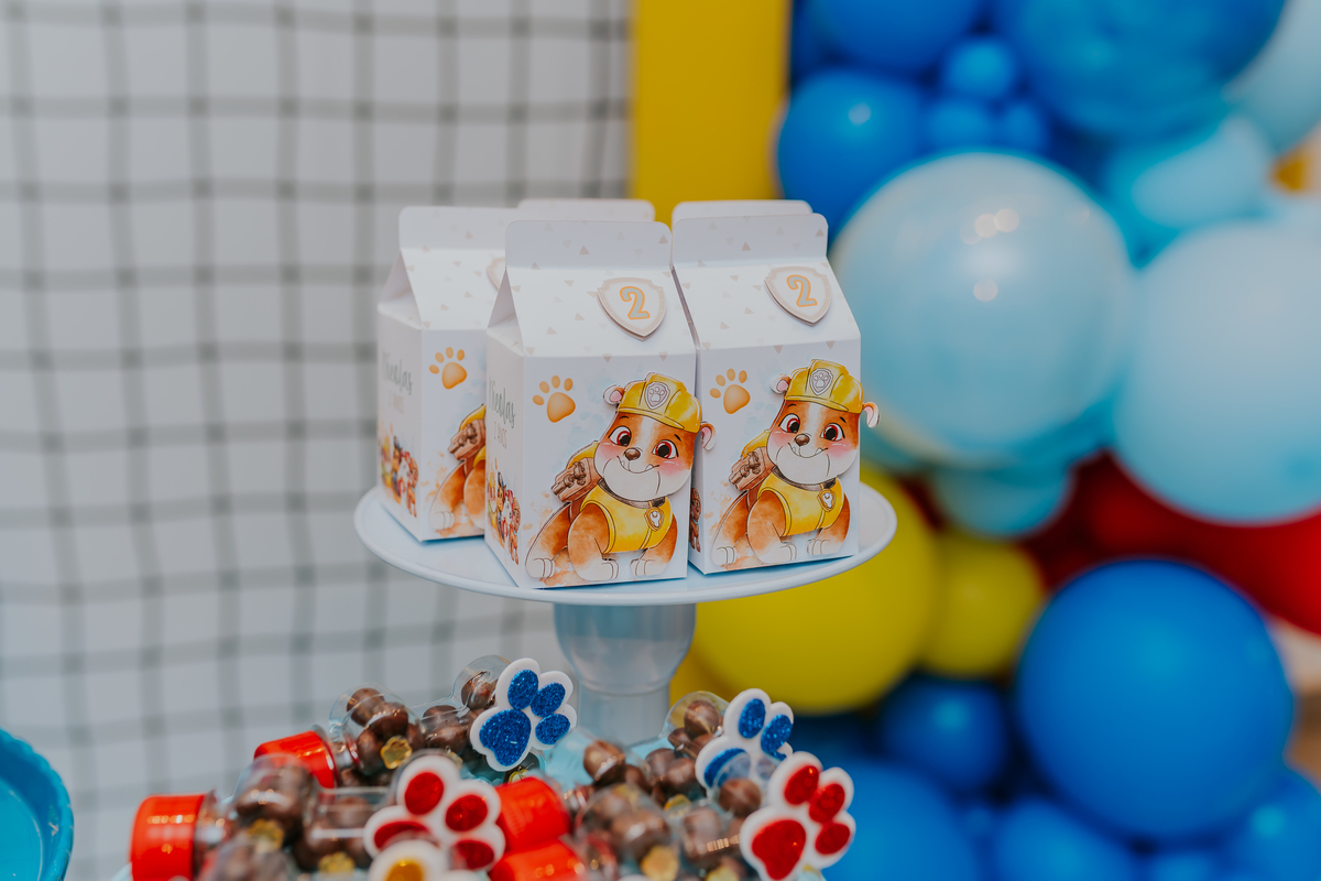 festa infantil rio de janeiro 2 anos Nicolas fotografa fotografia rj casa de festa quintal Araguaia Jacarepagua familia 