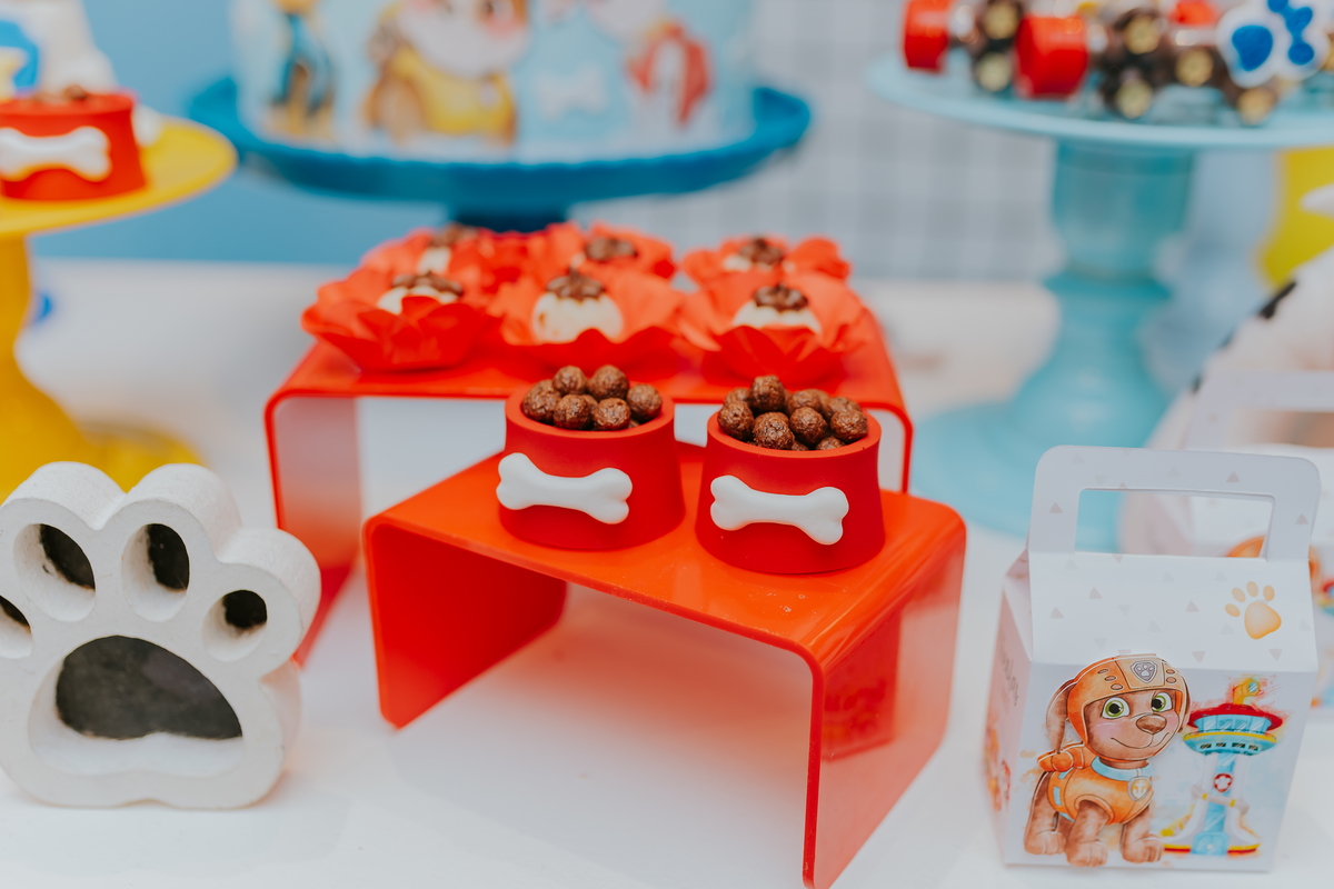 festa infantil rio de janeiro 2 anos Nicolas fotografa fotografia rj casa de festa quintal Araguaia Jacarepagua familia 