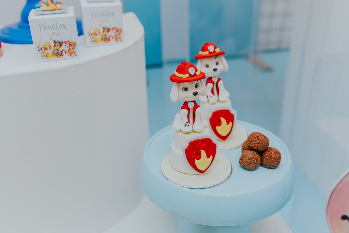 festa infantil rio de janeiro 2 anos Nicolas fotografa fotografia rj casa de festa quintal Araguaia Jacarepagua familia 