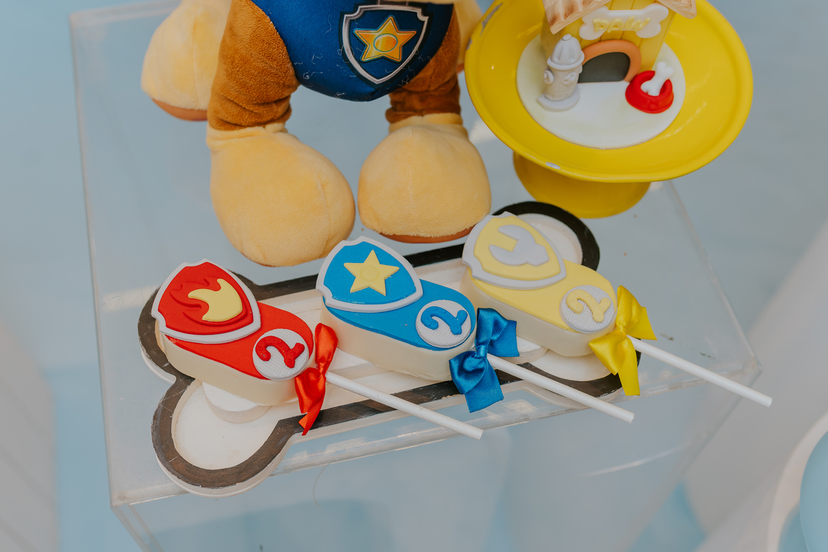 festa infantil rio de janeiro 2 anos Nicolas fotografa fotografia rj casa de festa quintal Araguaia Jacarepagua familia 