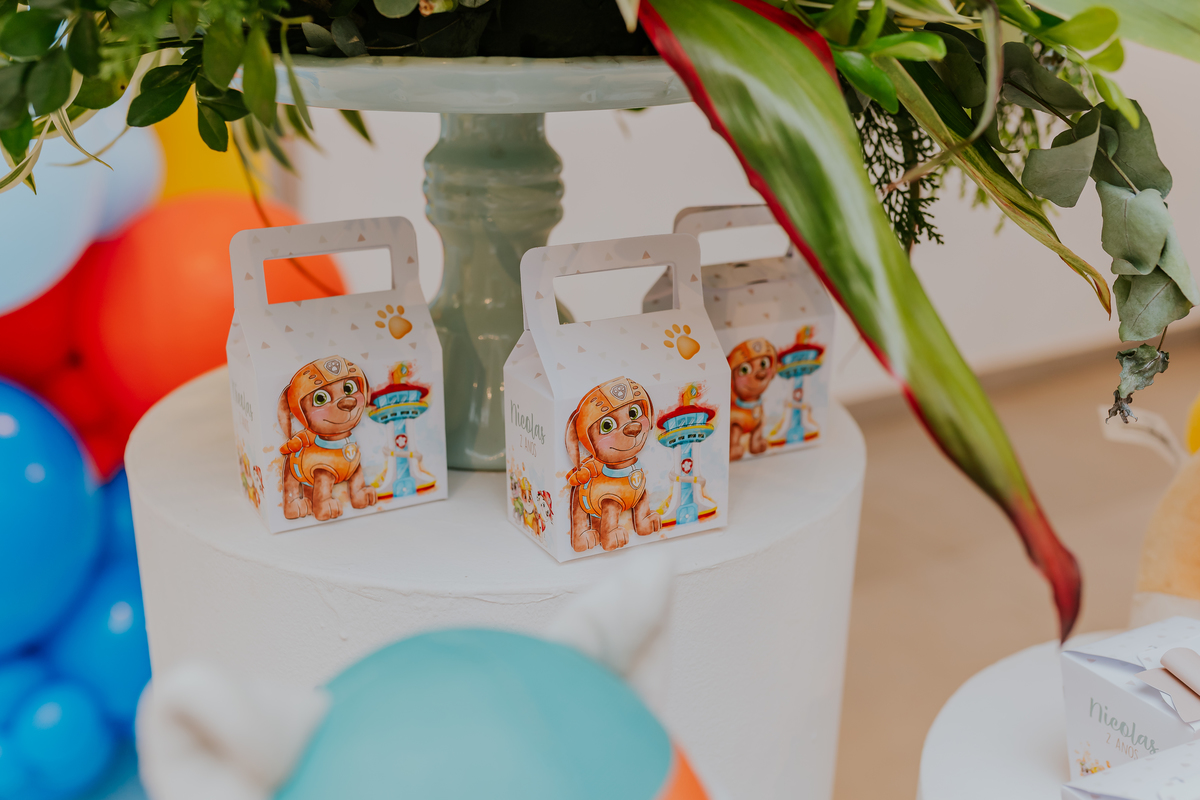 festa infantil rio de janeiro 2 anos Nicolas fotografa fotografia rj casa de festa quintal Araguaia Jacarepagua familia 