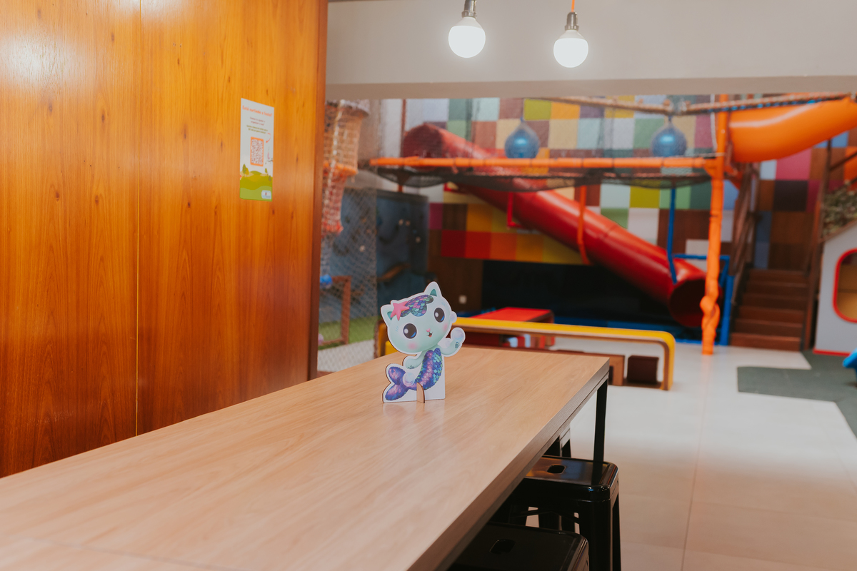 fotografa fotografia festa infantil 5 anos Laura espoleta barato de Lucena rio de janeiro rj familia casa de festas 