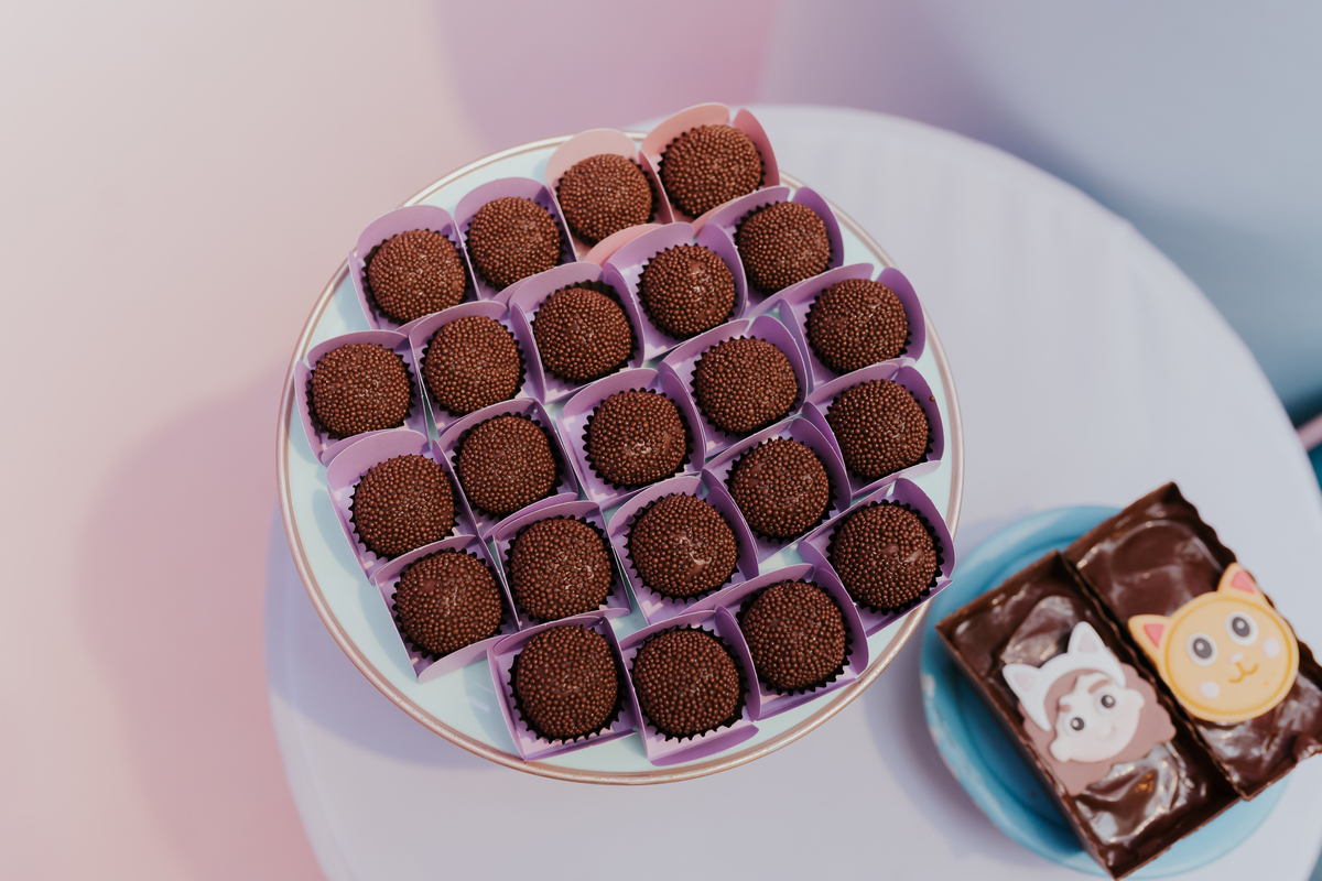 fotografa fotografia festa infantil 5 anos Laura espoleta barato de Lucena rio de janeiro rj familia casa de festas 