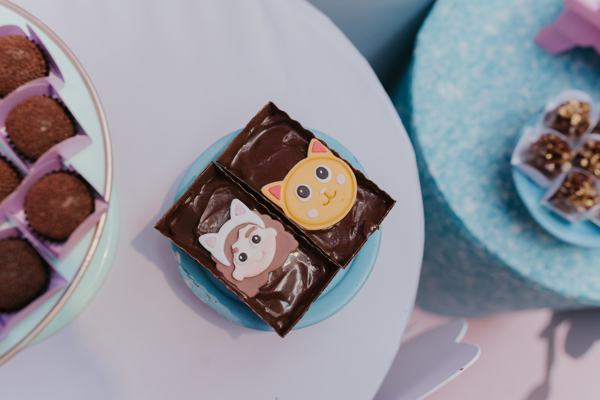 fotografa fotografia festa infantil 5 anos Laura espoleta barato de Lucena rio de janeiro rj familia casa de festas 