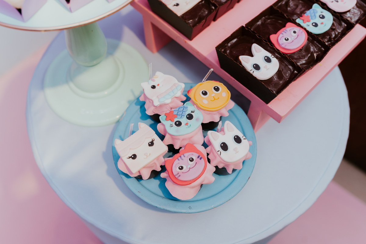 fotografa fotografia festa infantil 5 anos Laura espoleta barato de Lucena rio de janeiro rj familia casa de festas 