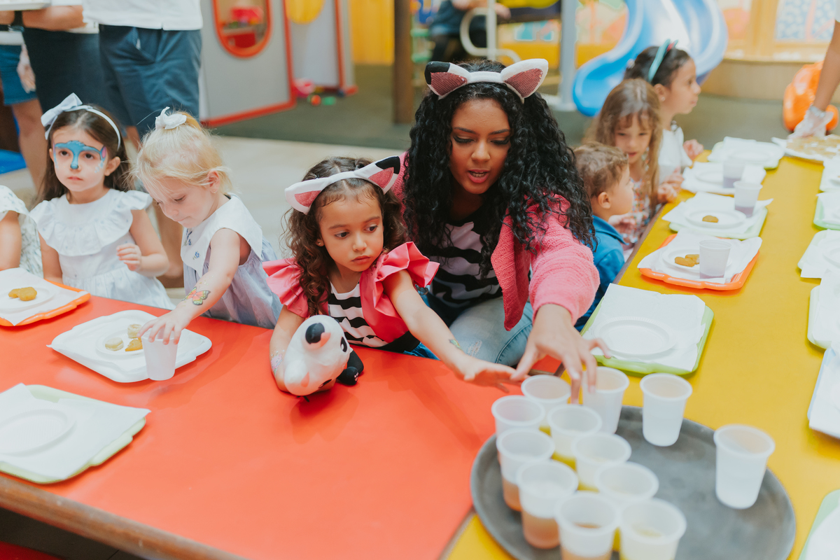 fotografa fotografia festa infantil 5 anos Laura espoleta barato de Lucena rio de janeiro rj familia casa de festas 