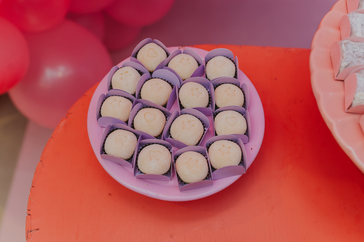 fotografa fotografia festa infantil 5 anos Laura espoleta barato de Lucena rio de janeiro rj familia casa de festas 