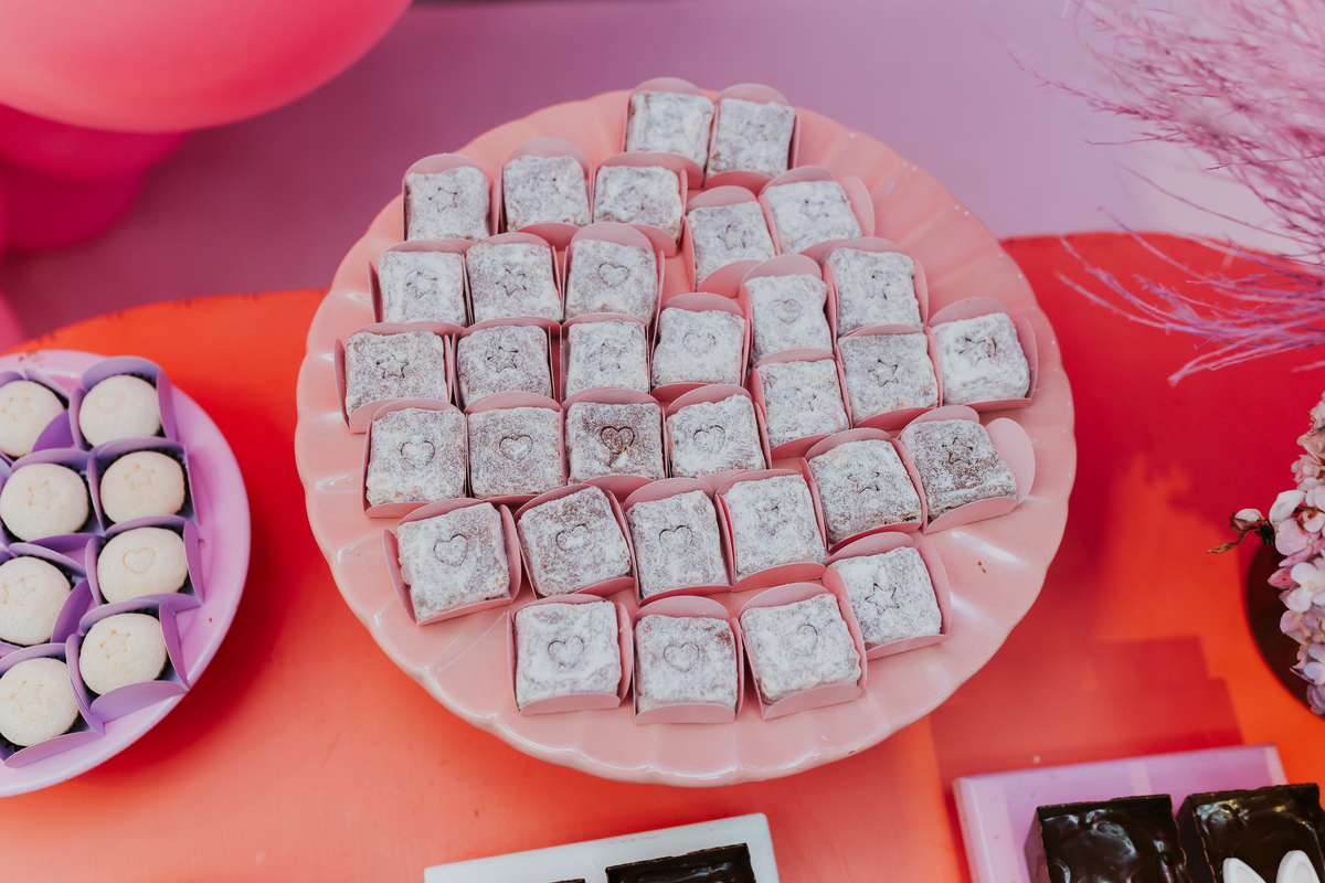 fotografa fotografia festa infantil 5 anos Laura espoleta barato de Lucena rio de janeiro rj familia casa de festas 