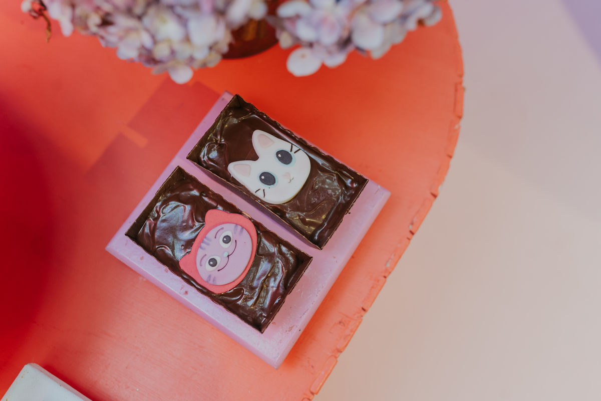 fotografa fotografia festa infantil 5 anos Laura espoleta barato de Lucena rio de janeiro rj familia casa de festas 