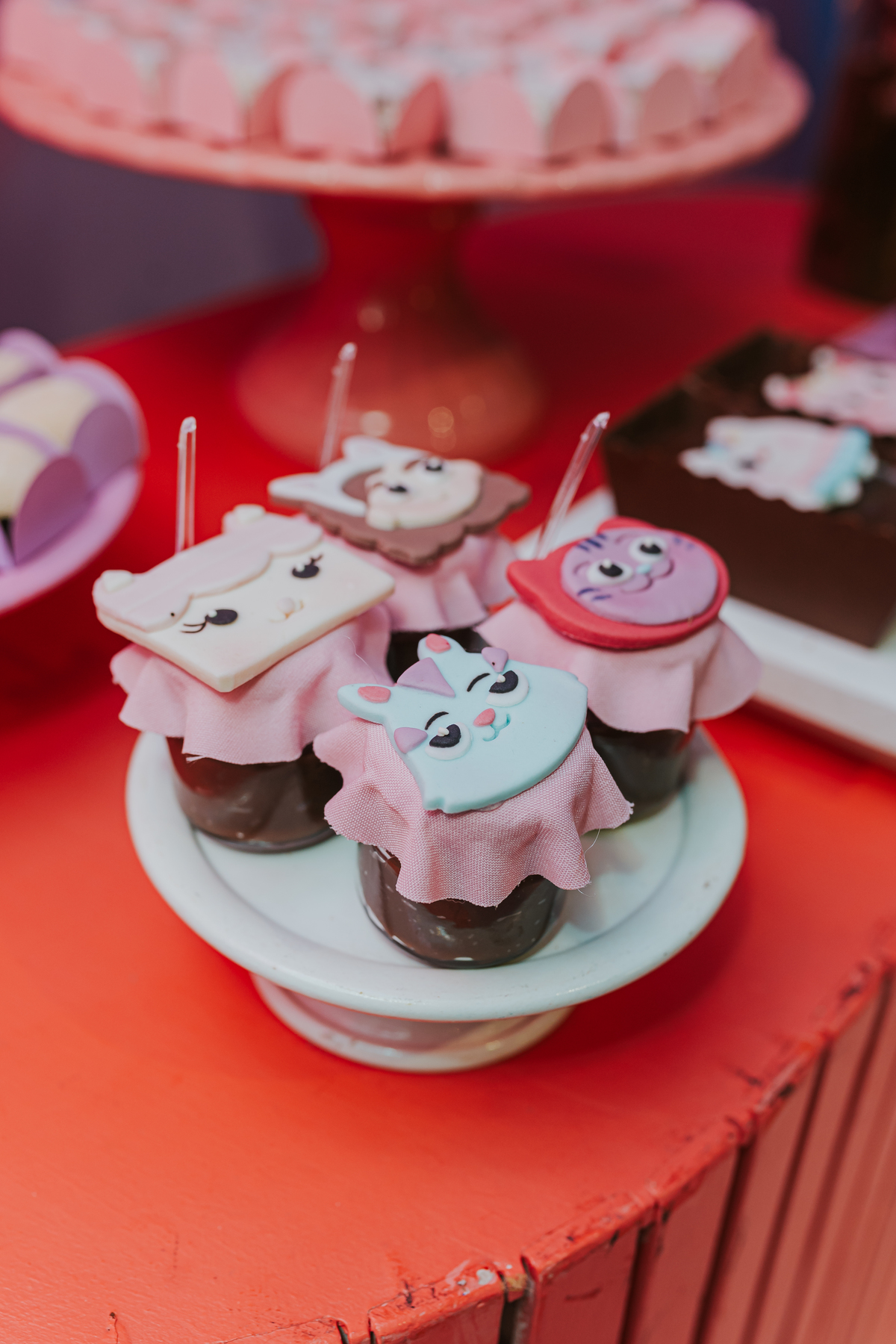 fotografa fotografia festa infantil 5 anos Laura espoleta barato de Lucena rio de janeiro rj familia casa de festas 