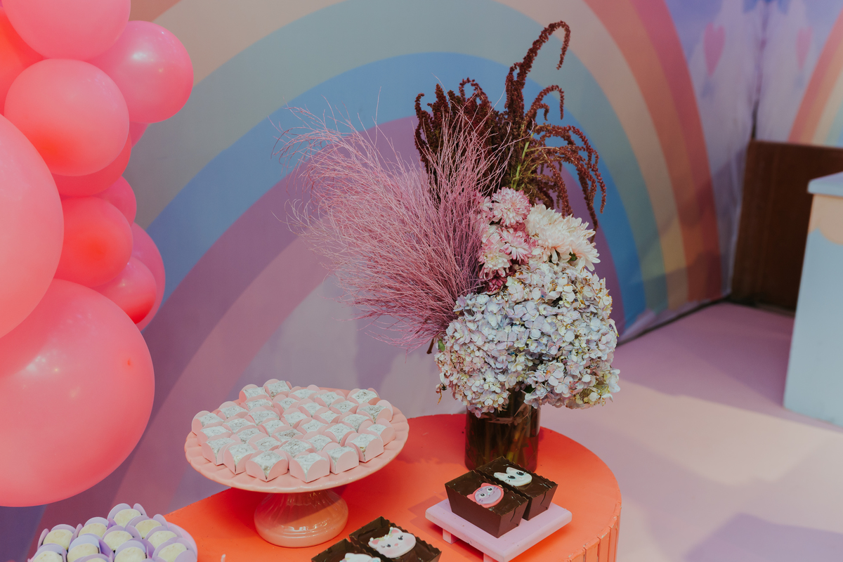 fotografa fotografia festa infantil 5 anos Laura espoleta barato de Lucena rio de janeiro rj familia casa de festas 