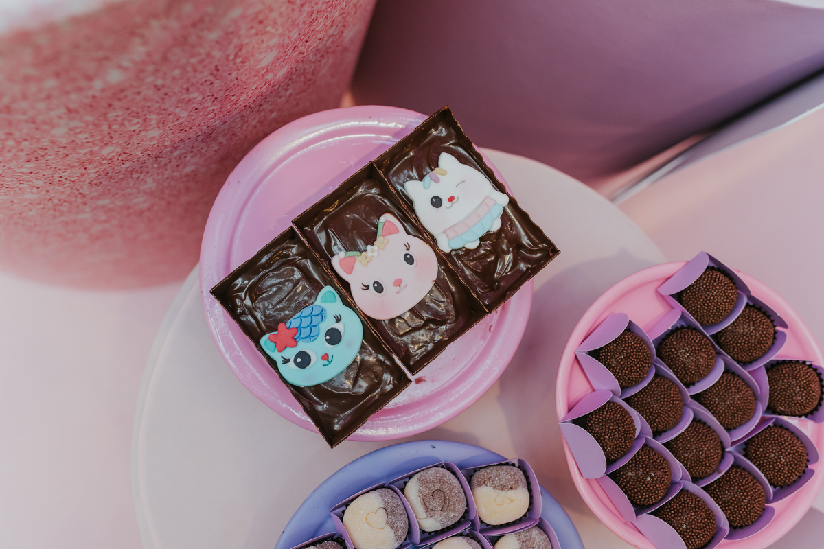 fotografa fotografia festa infantil 5 anos Laura espoleta barato de Lucena rio de janeiro rj familia casa de festas 