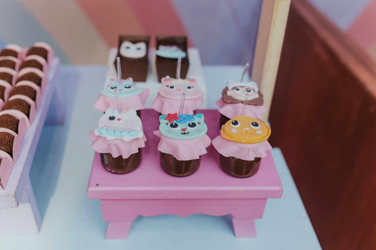 fotografa fotografia festa infantil 5 anos Laura espoleta barato de Lucena rio de janeiro rj familia casa de festas 