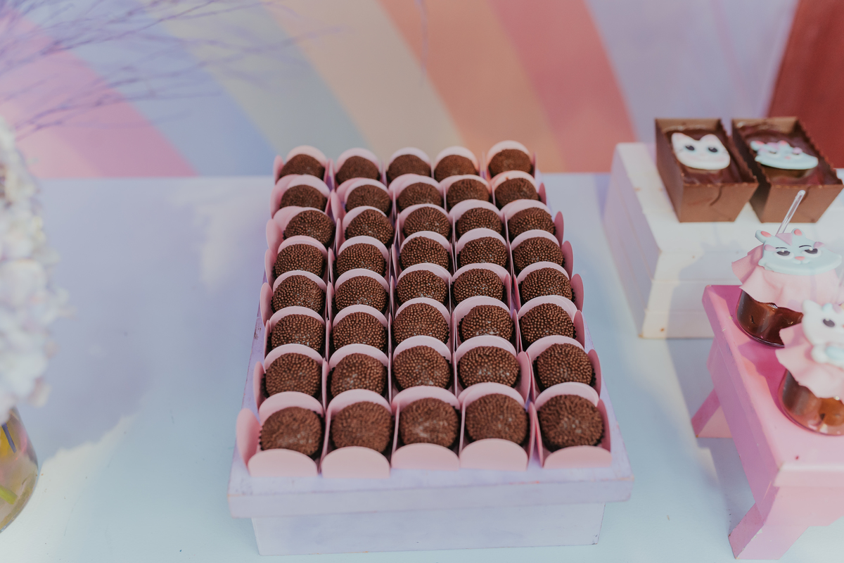 fotografa fotografia festa infantil 5 anos Laura espoleta barato de Lucena rio de janeiro rj familia casa de festas 