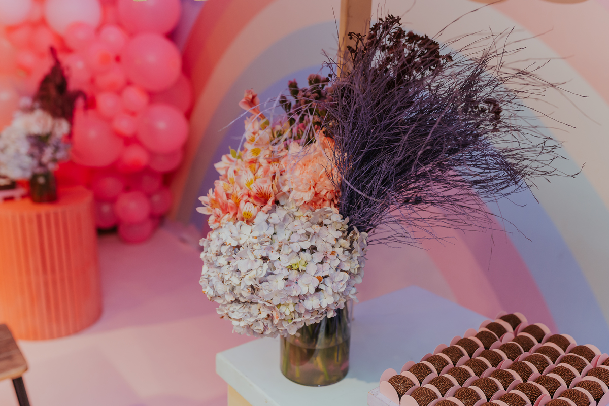 fotografa fotografia festa infantil 5 anos Laura espoleta barato de Lucena rio de janeiro rj familia casa de festas 