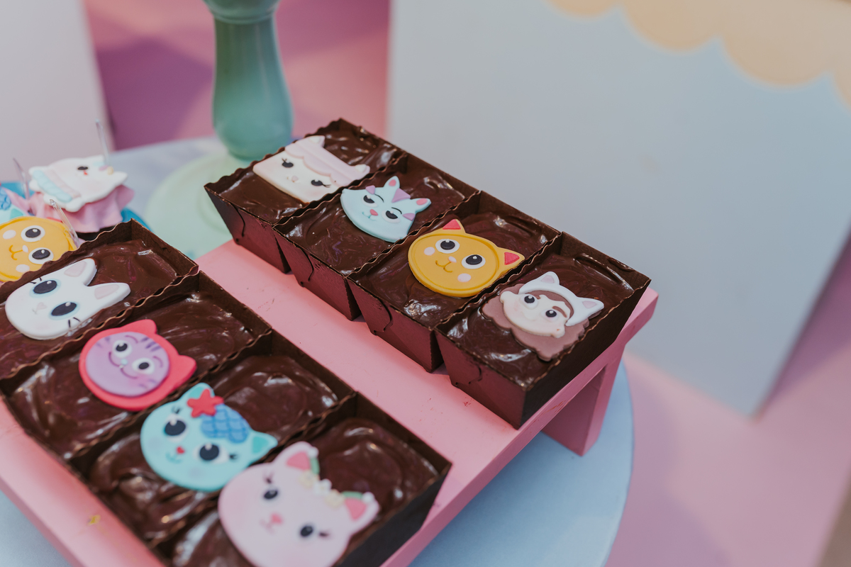 fotografa fotografia festa infantil 5 anos Laura espoleta barato de Lucena rio de janeiro rj familia casa de festas 