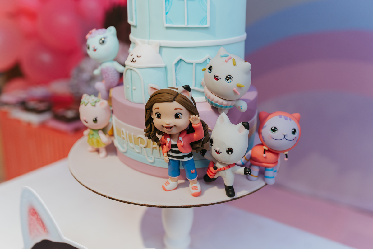 fotografa fotografia festa infantil 5 anos Laura espoleta barato de Lucena rio de janeiro rj familia casa de festas 