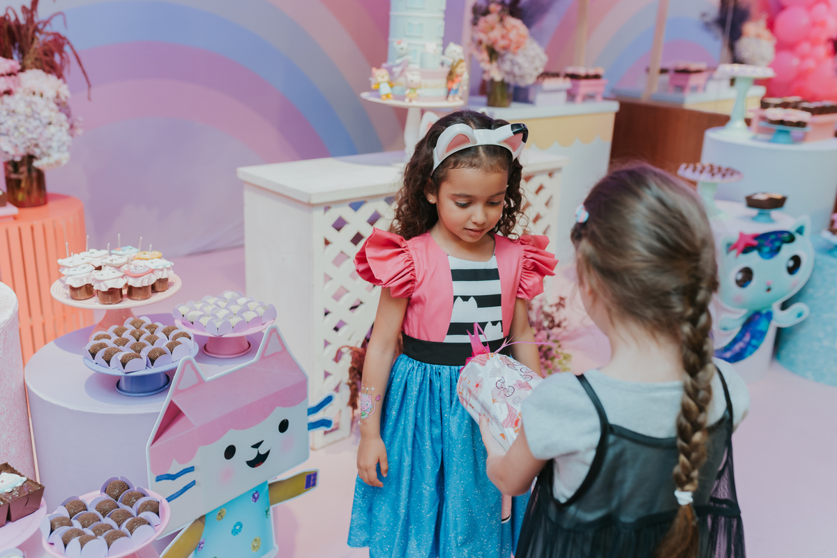 fotografa fotografia festa infantil 5 anos Laura espoleta barato de Lucena rio de janeiro rj familia casa de festas 