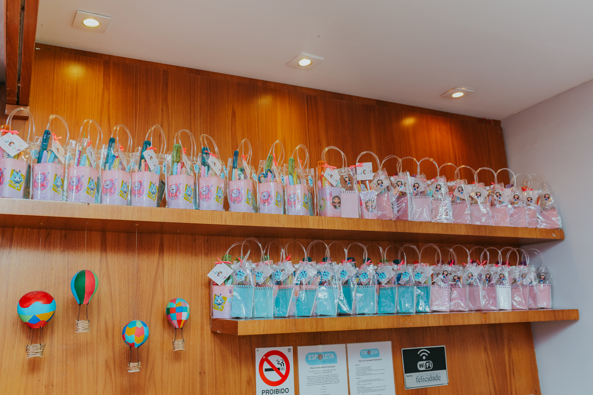 fotografa fotografia festa infantil 5 anos Laura espoleta barato de Lucena rio de janeiro rj familia casa de festas 