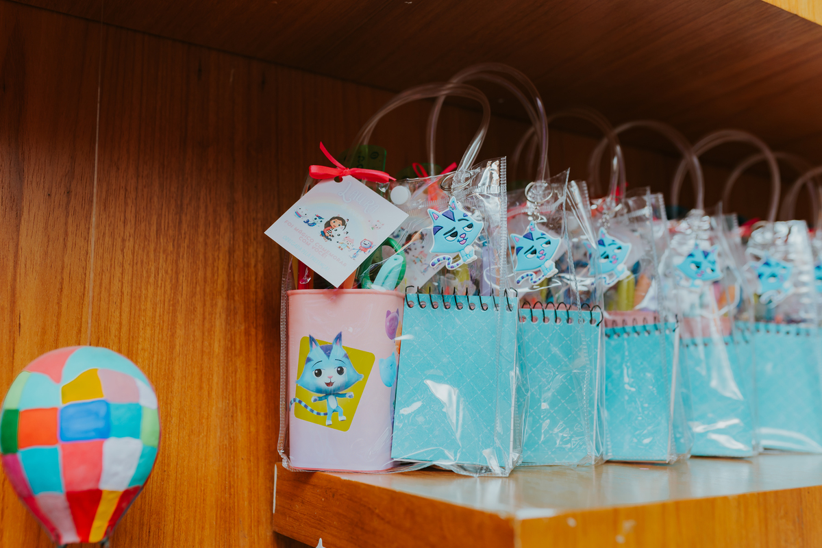 fotografa fotografia festa infantil 5 anos Laura espoleta barato de Lucena rio de janeiro rj familia casa de festas 