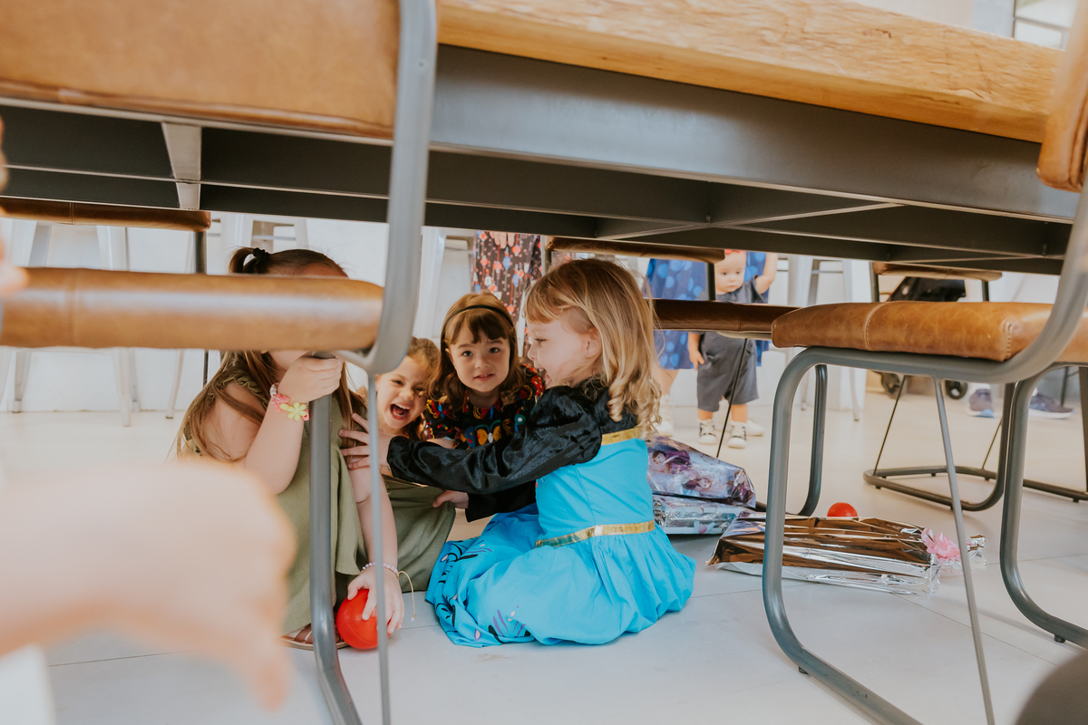 fotografia festa infantil fotografa familia 4 anos Cecilia tema Frozen botafogo zona sul rio de janeiro rj evento 