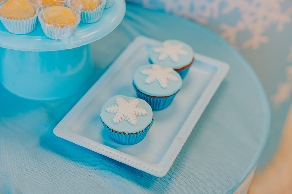 fotografia festa infantil fotografa familia 4 anos Cecilia tema Frozen botafogo zona sul rio de janeiro rj evento 