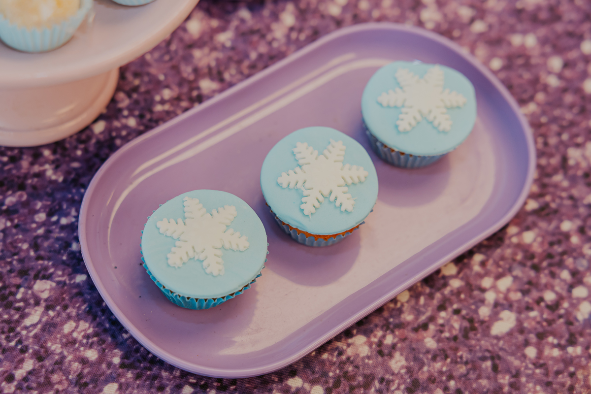 fotografia festa infantil fotografa familia 4 anos Cecilia tema Frozen botafogo zona sul rio de janeiro rj evento 