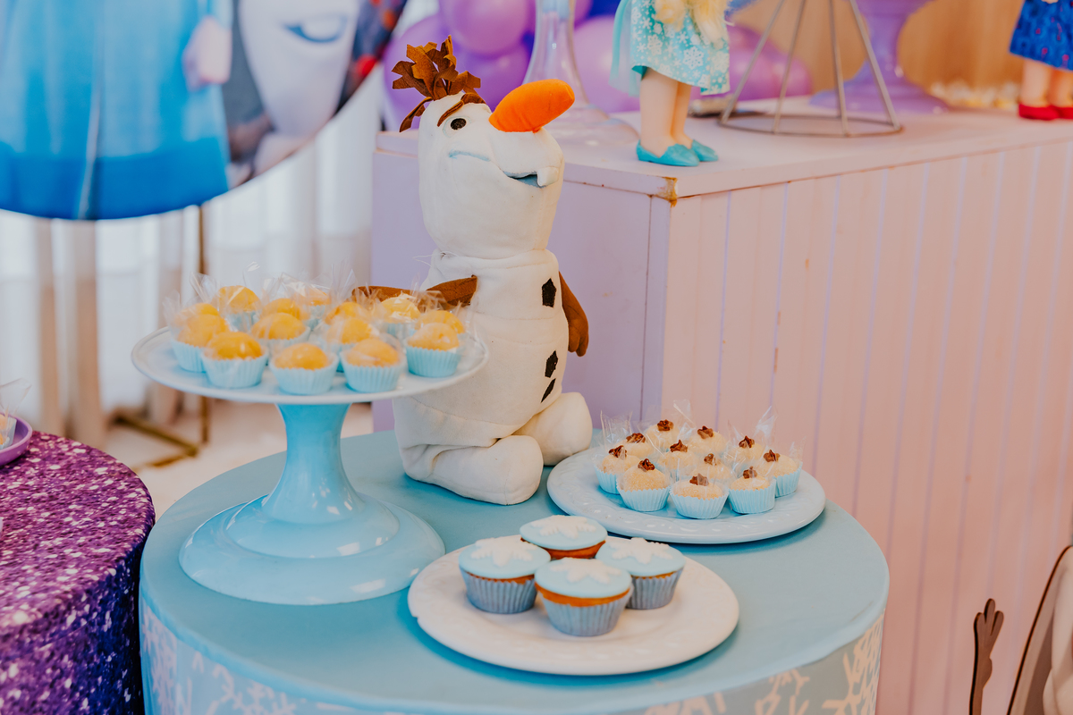 fotografia festa infantil fotografa familia 4 anos Cecilia tema Frozen botafogo zona sul rio de janeiro rj evento 