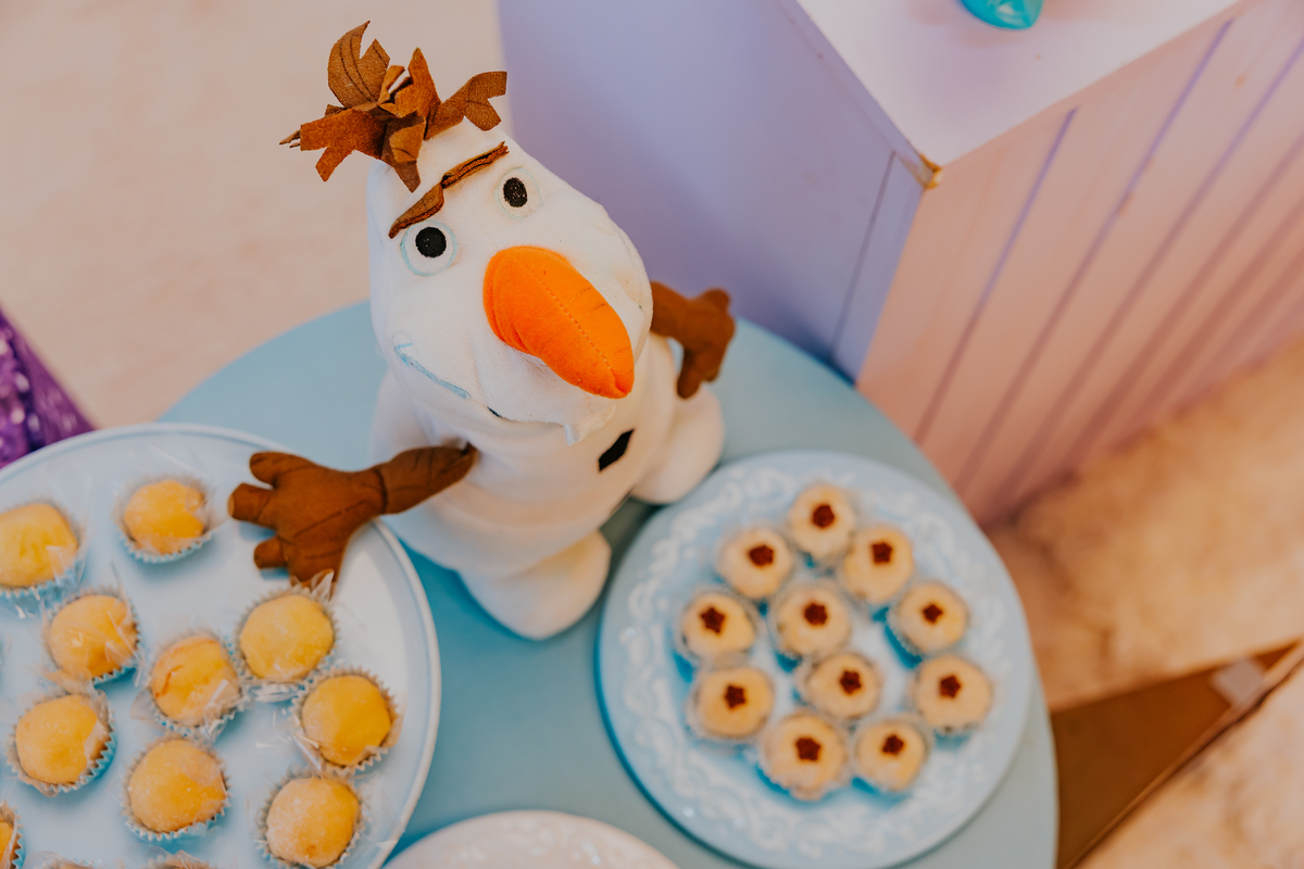 fotografia festa infantil fotografa familia 4 anos Cecilia tema Frozen botafogo zona sul rio de janeiro rj evento 