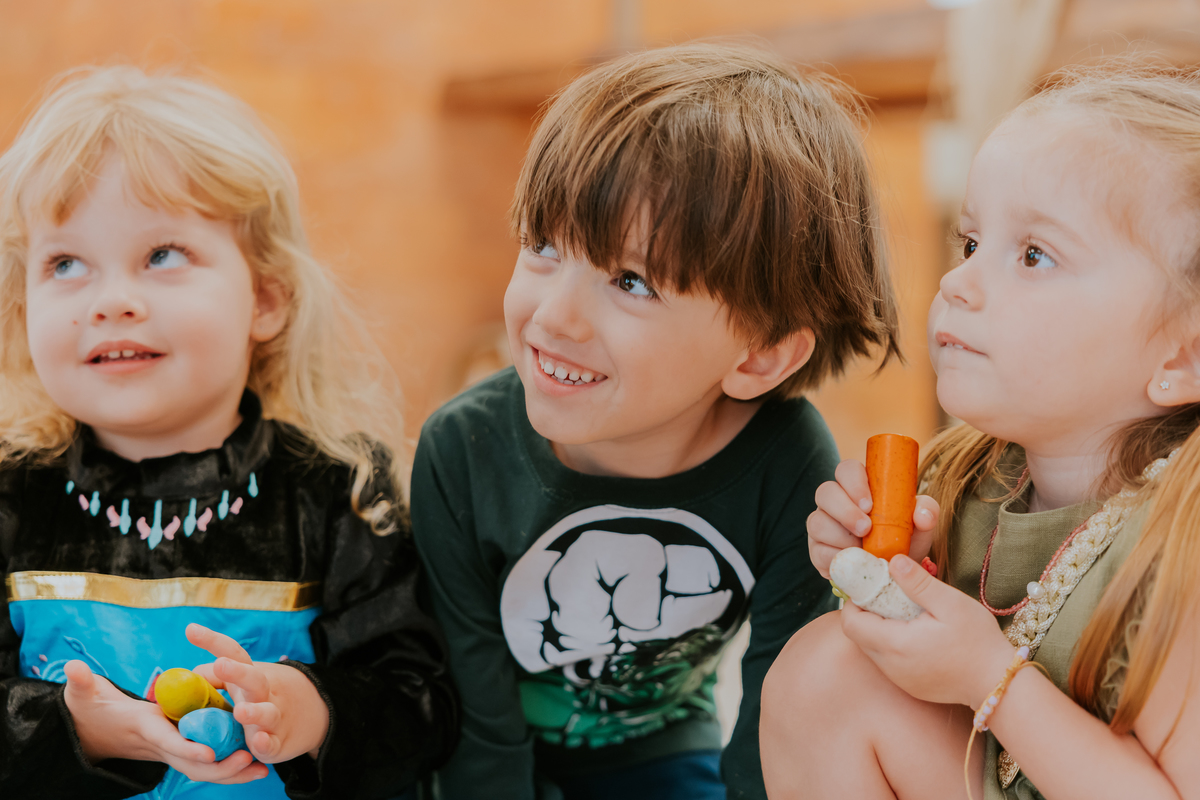 fotografia festa infantil fotografa familia 4 anos Cecilia tema Frozen botafogo zona sul rio de janeiro rj evento 