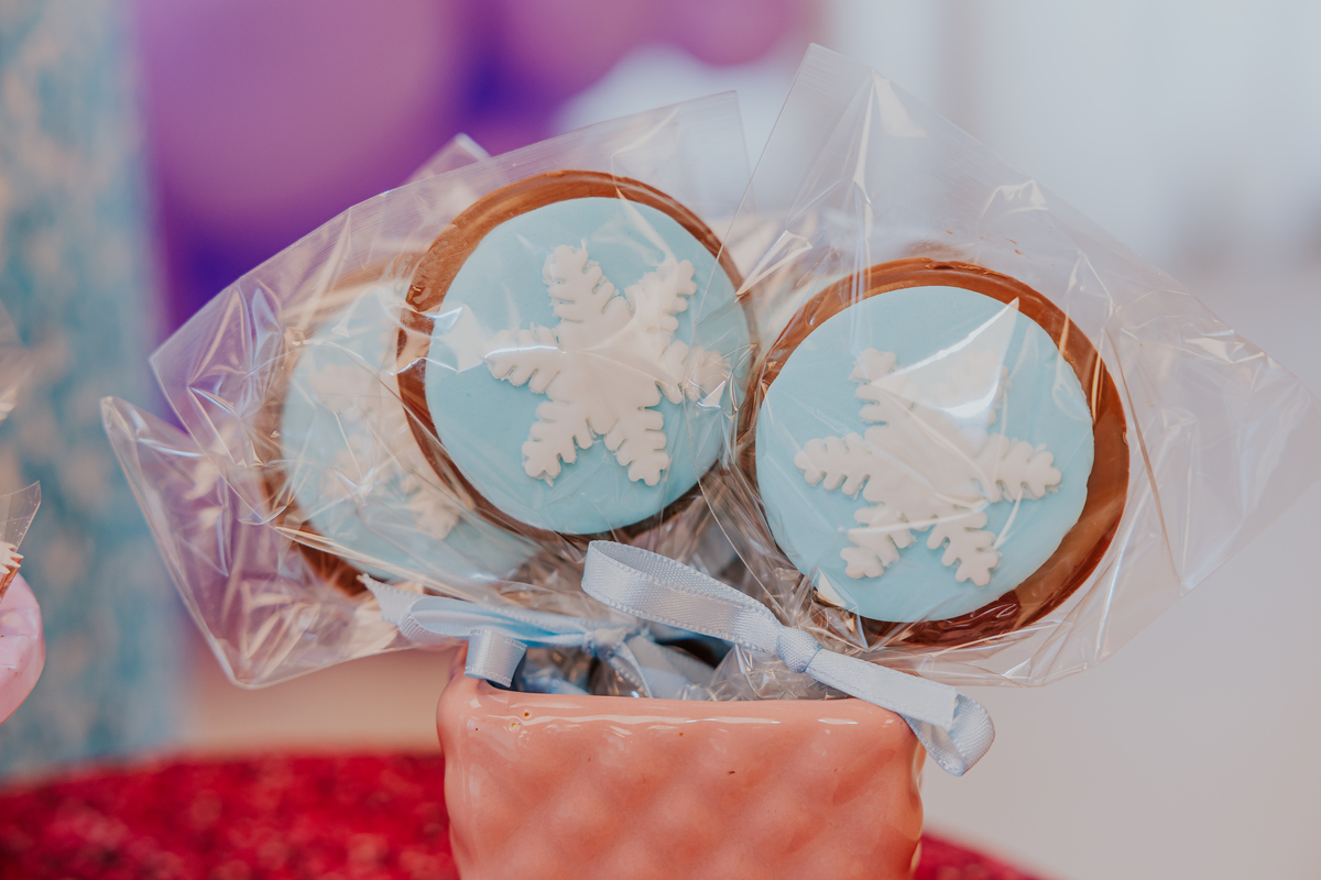 fotografia festa infantil fotografa familia 4 anos Cecilia tema Frozen botafogo zona sul rio de janeiro rj evento 