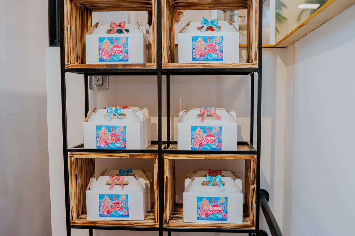 fotografia festa infantil 5 anos Isadora casa de festas loft 421 Río de Janeiro Tijuca fotografa familia tema sereia 