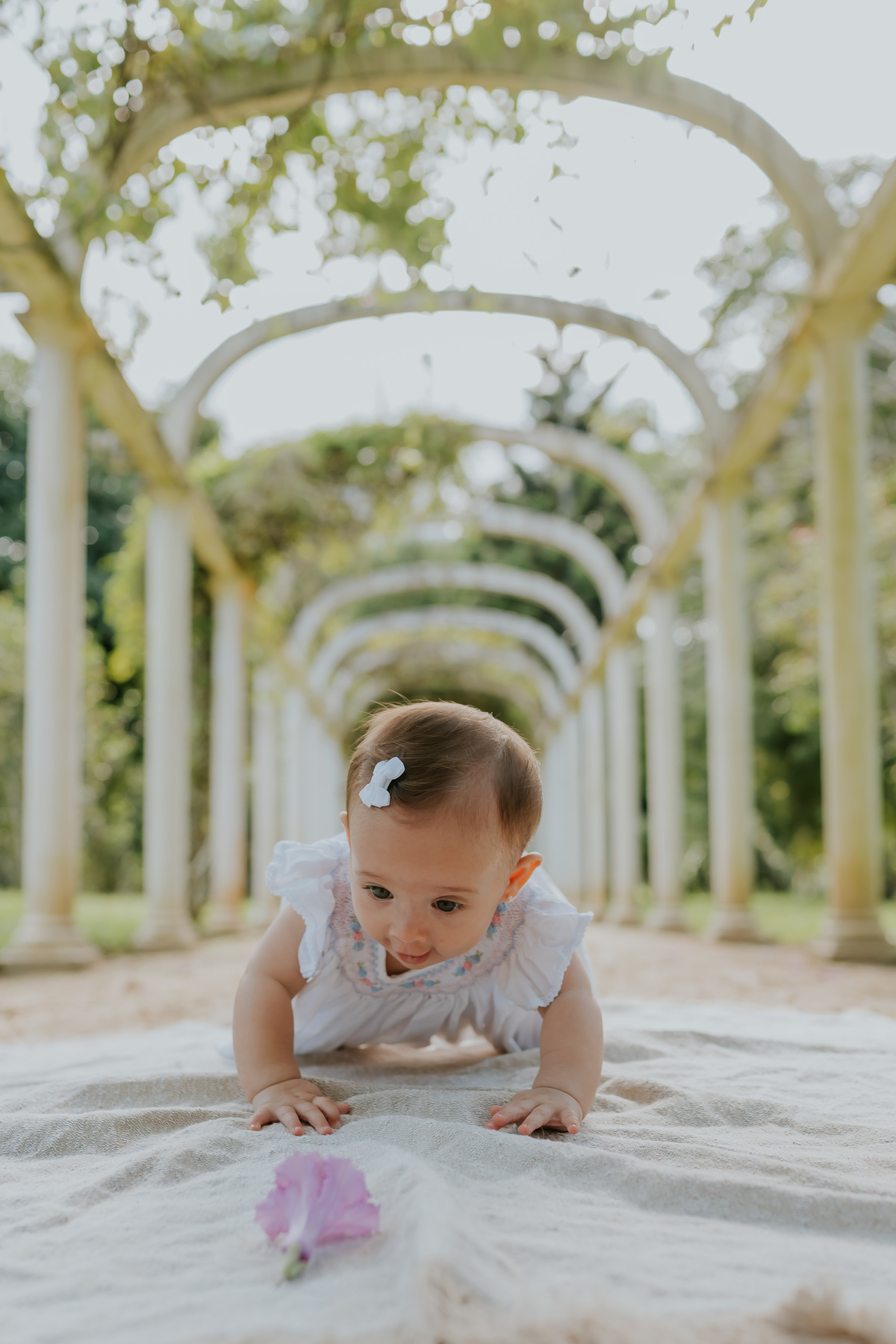 fotografia fotografa 6 meses Fernanda acompanhamento ensaio família rj Rio de Janeiro jardim botânico externo natureza