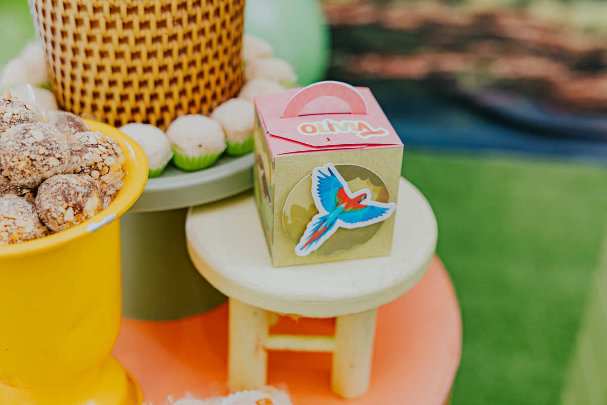fotografia fotografa festa infantil 1 ano olivia barra da Tijuca Río de Janeiro rj familia evento 